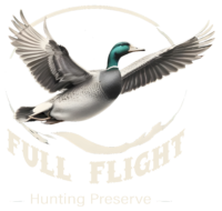 Full Flight Logo