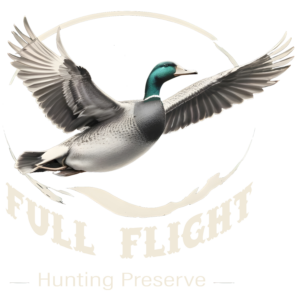 Full Flight Logo