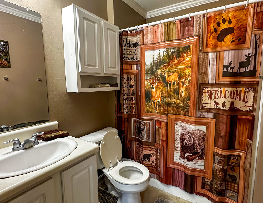 Cabin Bathroom